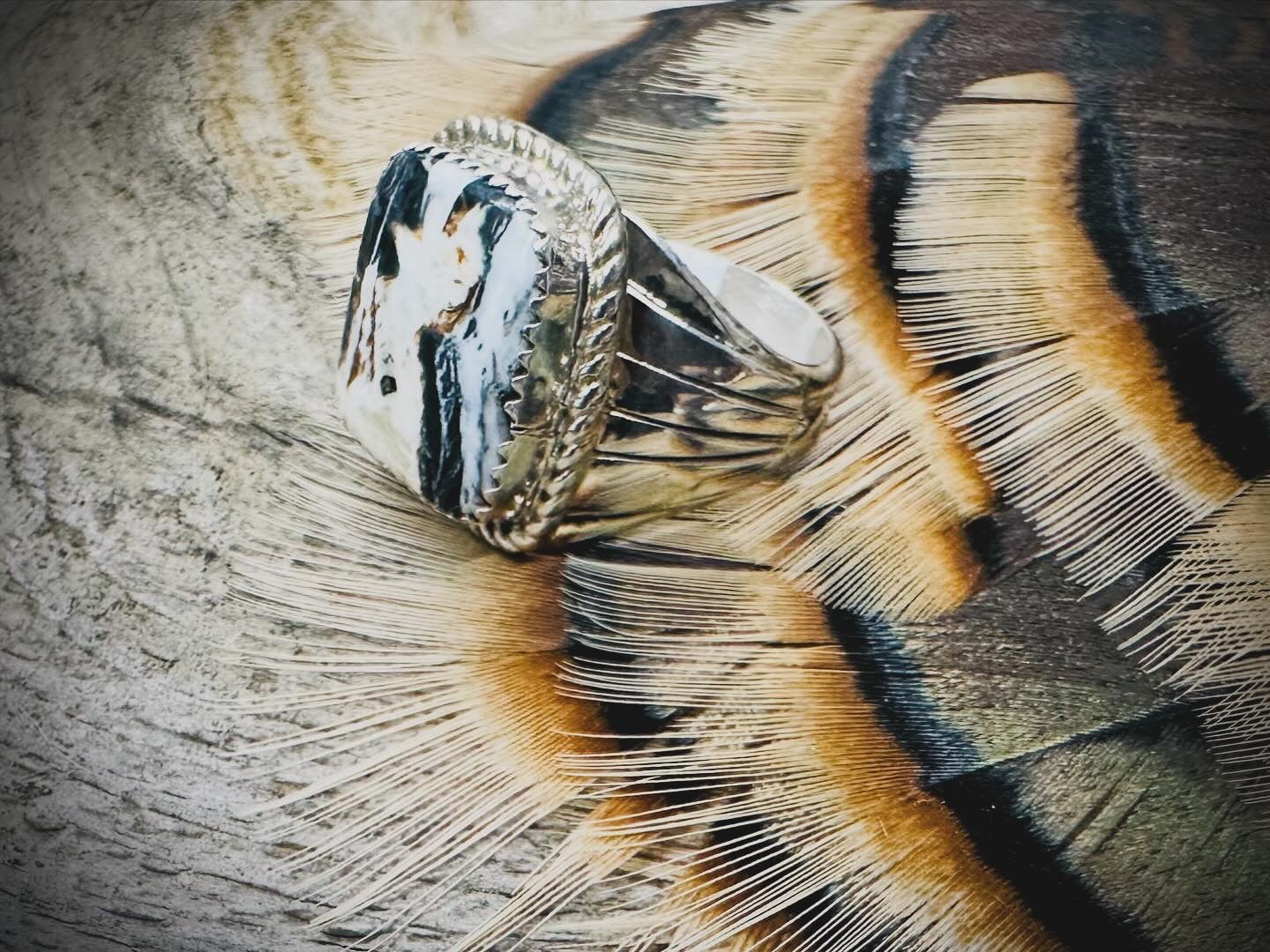 11.75 White Buffalo Sterling Silver Ring